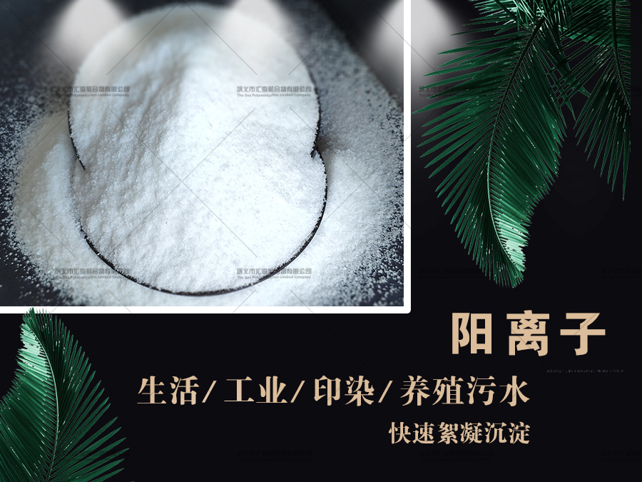 阳离子聚丙烯酰胺